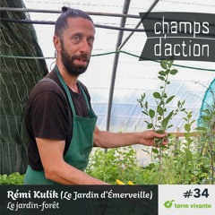 CHAMPS D'ACTION - Saison 3 - Ep.34 - Rémi Kulik (Le Jardin d’Émerveille) : Le jardin-forêt