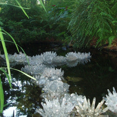 sonic mineral springs