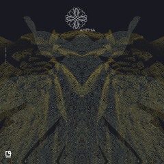 Premiere: A1 - 100Hz - Machines of May [AMP024]