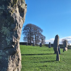 THE TECHNOBITE HINPED .m4a