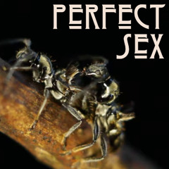 Perfect Sex