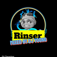 Rinser