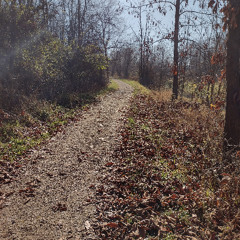 Mirie it is while sumer Ilast