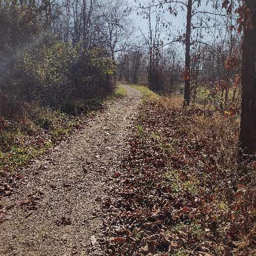 Mirie it is while sumer Ilast