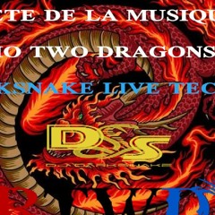Darksnake Special Live Techno "Fête de la Musique 2022" Radio TwoDragons 21.6.2022