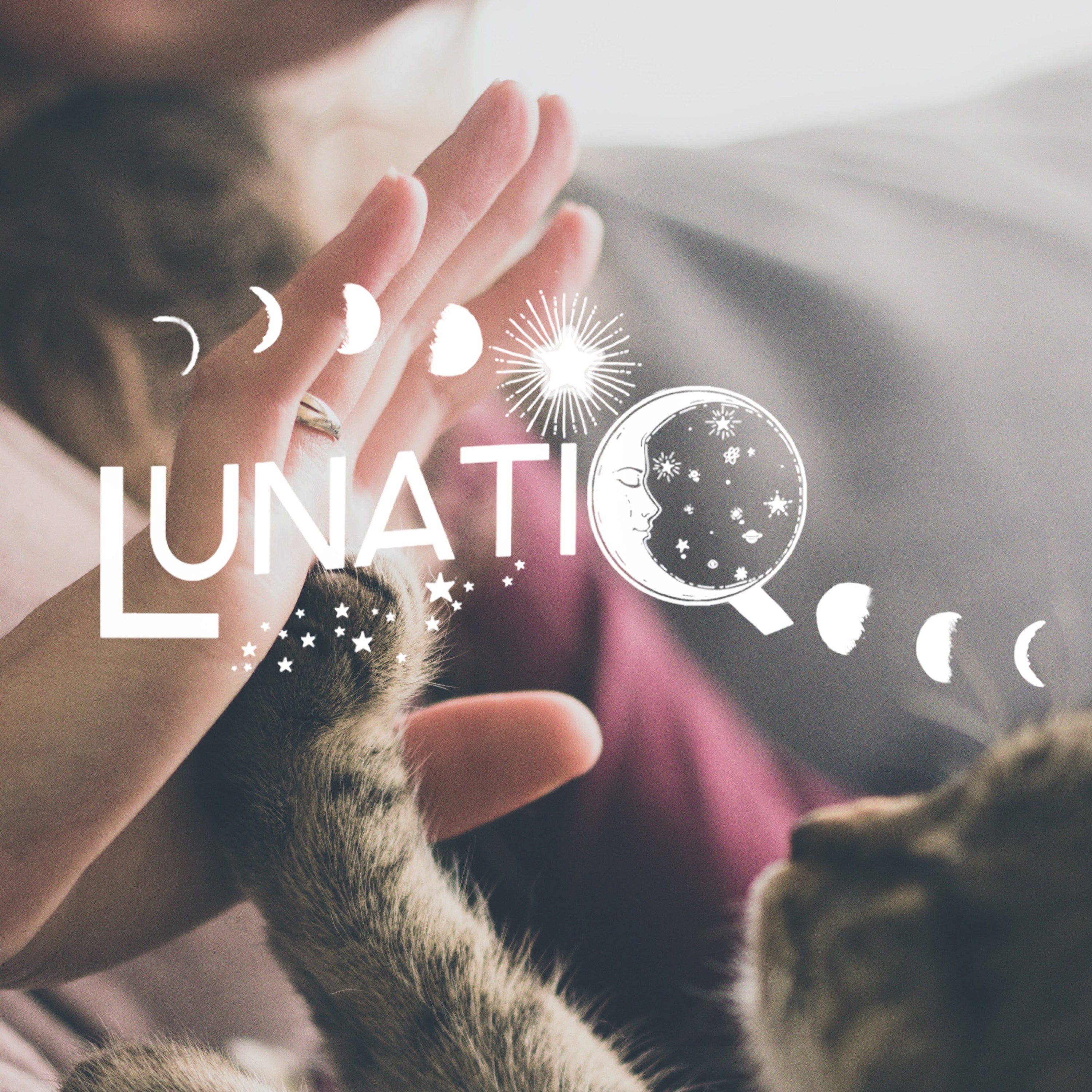 #36- La communication animale