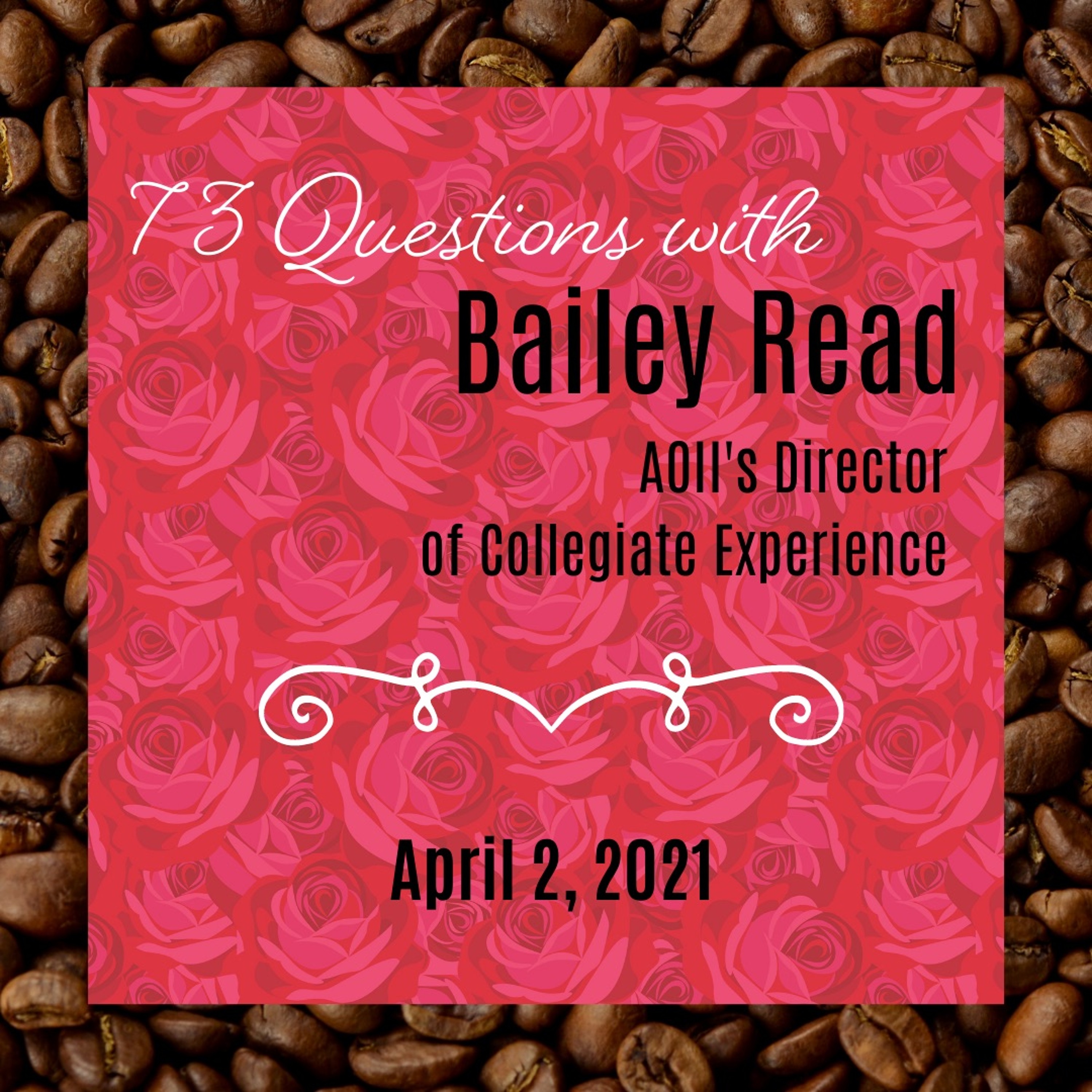 SES5E7: 73 Questions with Bailey Read (From the IP Archives) episode artwork