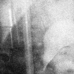 All My Life Ive Been A Trappa, Trapper !