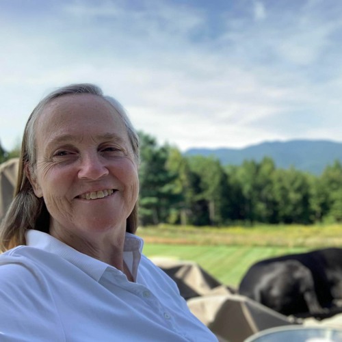 Stream 8 27 2023 Sally Hill by Pastor Sue Salameh Listen online