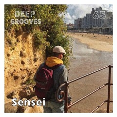 Deep Grooves Podcast #65 - Sensei