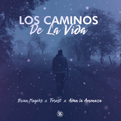 Los Caminos de la Vida