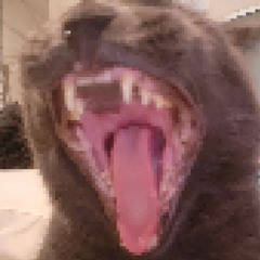CR@CK3D Z3N0L0GY