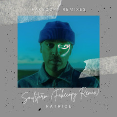 Patrice - Soulstorm (Fakecopy Remix) FREE DOWNLOAD