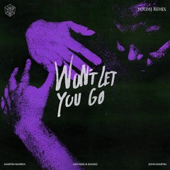 Martin Garrix - Won't Let You Go (Youmj Remix) (Extended Remix)