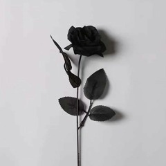 Elop - Black Roses  (Prod. The Italian Job)