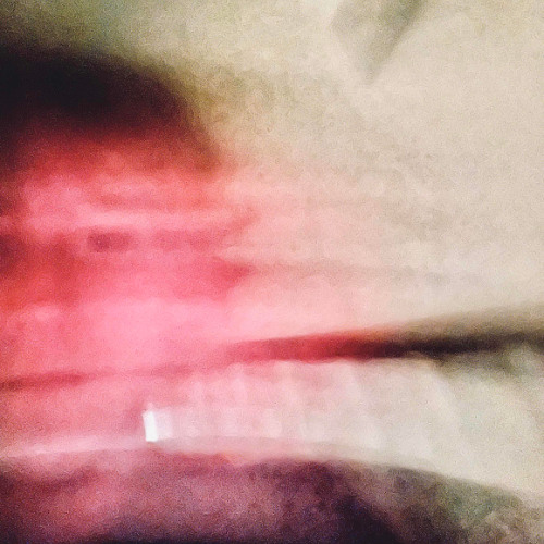 what the fuck do you mean hes gone