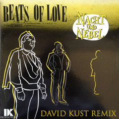 Nacht und Nebel - Beats Of Love (David Kust Extended Remix)