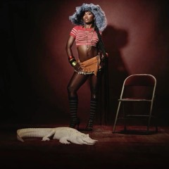 Too much Booty Droppin like Crazy (INDI Mashup)