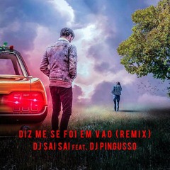 DJ Saï Saï feat. DJ Pingusso - Diz Se Foi Em Vão (Remix)