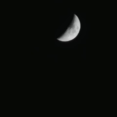 myart & artemmihas - TURKISH PHONK.mp3