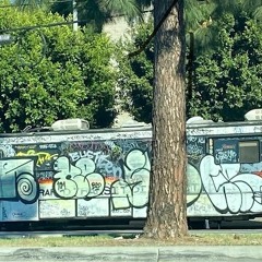 WHODIS? w/ DJV 301123