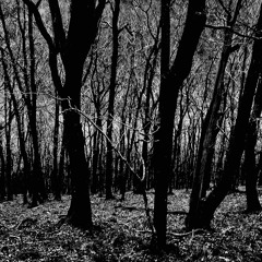 Bass from the crates - Volume 1