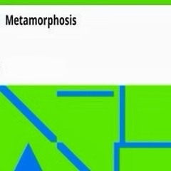 Metamorphosis Mix