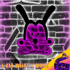 Tyler Stamm - I Am What I Want (MASHUP)