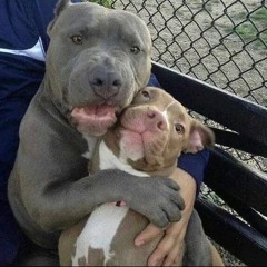 i'll take care of u ++