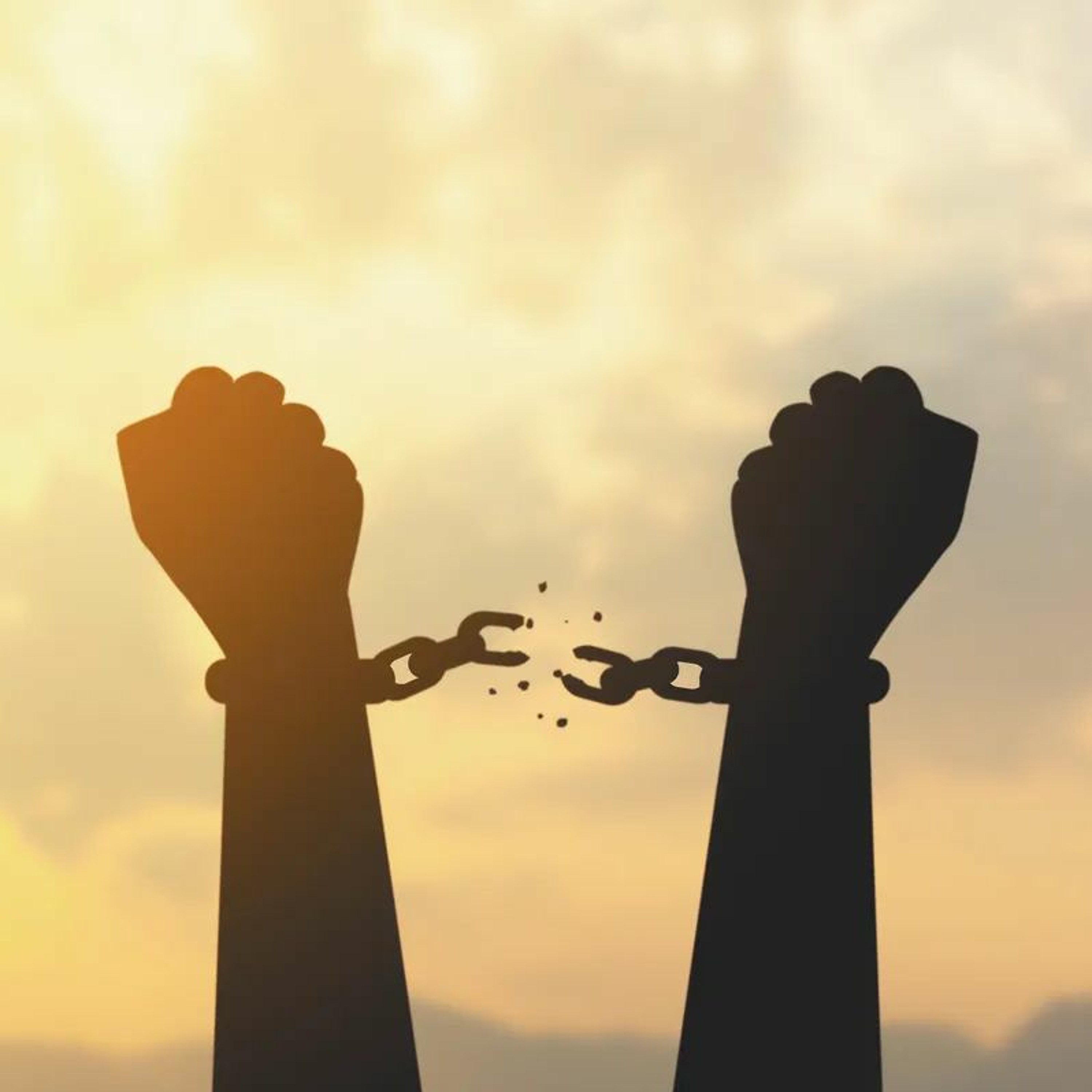 FREEDOM!! (Curt Mattson testimony) thumbnail