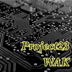 Project23