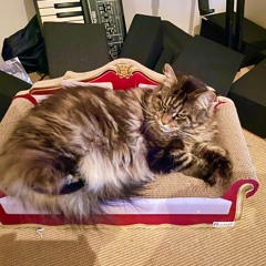 Phil Hartnoll - Orbital @ Amnesia House Ultimate Rave Experience 5-10-24