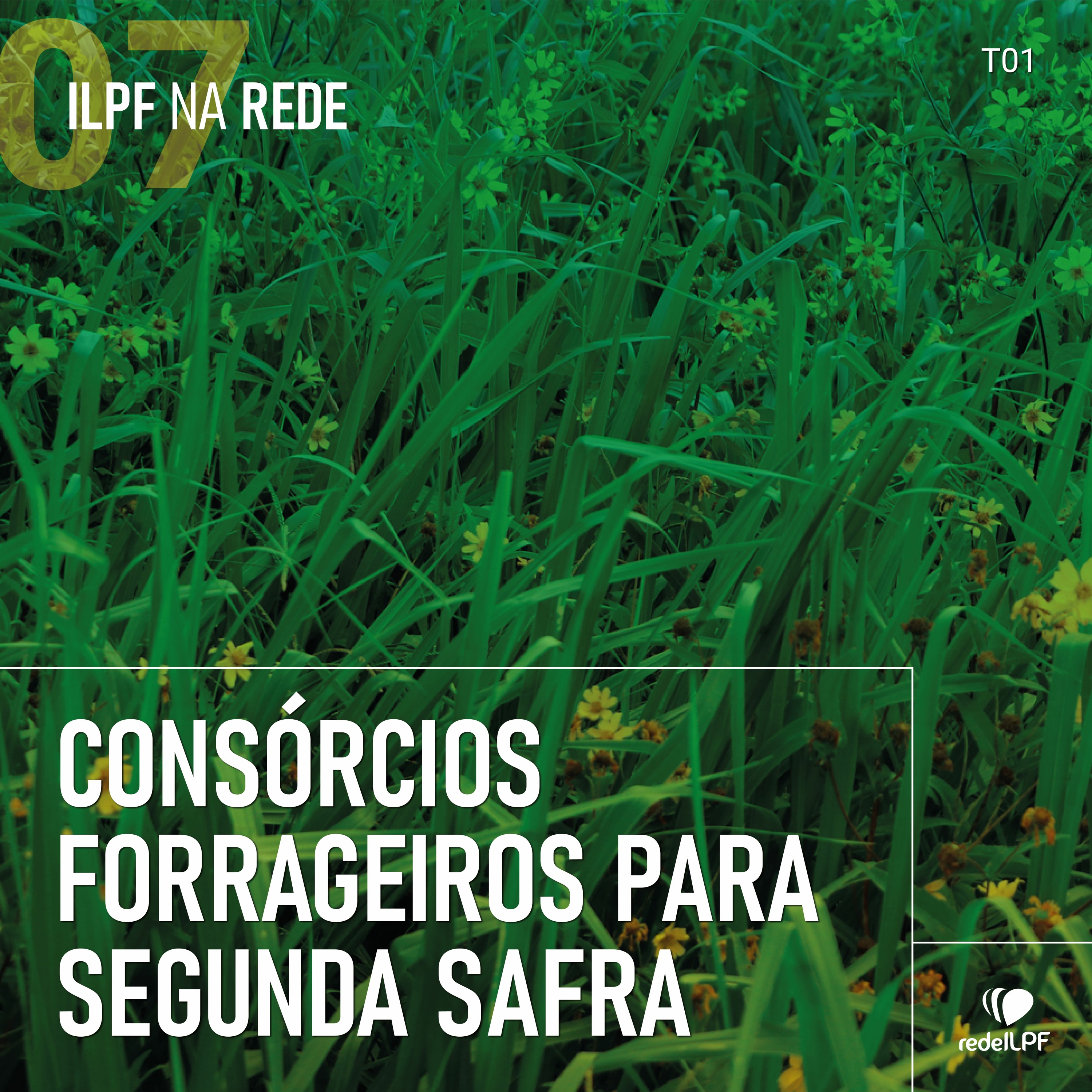 ILPF Na Rede