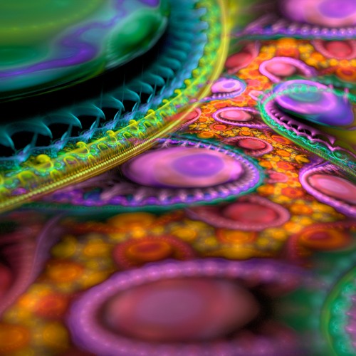 Digital Frequency