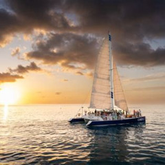 Review Special Price Key West Sunset Sail: Dolphin Watching Wine And Tapas
