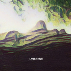 immerse