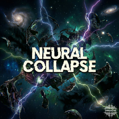 Neural Collapse
