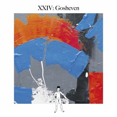 Awareness XXIV: Gosheven