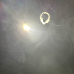 pimpin aint gon neva die