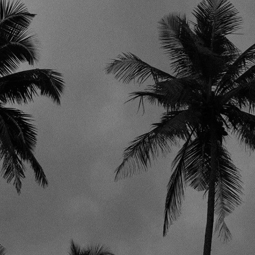 Nightfall on the Southside