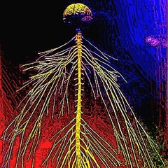 MrNup - SySTEMic ViBRatiOns MiX