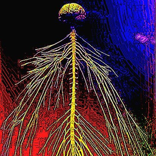 MrNup - SySTEMic ViBRatiOns MiX