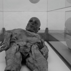 Micro_penis - Le psychiatre d'Haïti