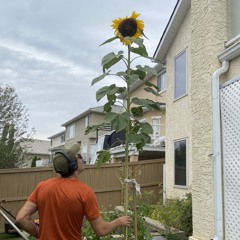 Press Play And Ascend 💫