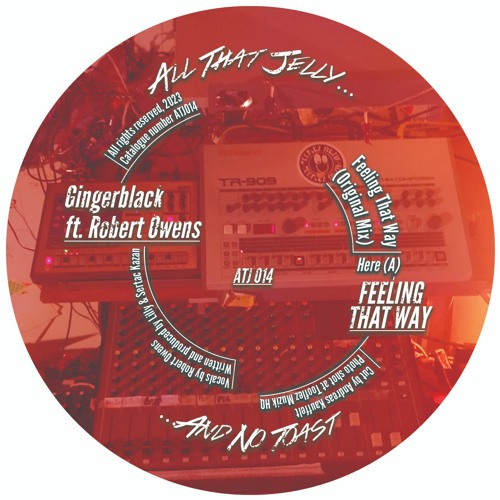 MOTZ Premiere: Gingerblack Ft. Robert Owens - Feeling That Way (Jakob Seidensticker & Melina Remix)