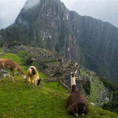 Best Temperature In Machu Picchu March Tours Review