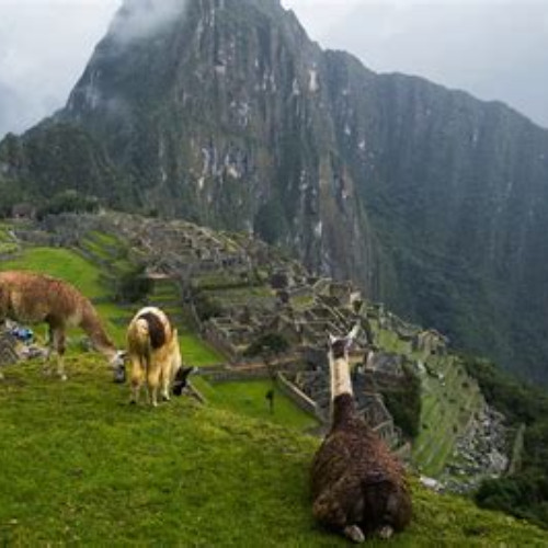Best Temperature In Machu Picchu March Tours Review