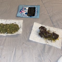 Love≠Drugs