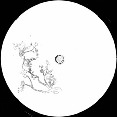 Moonee -  Prelude Jazz (Bonus Track)