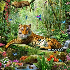 Jungle Calling